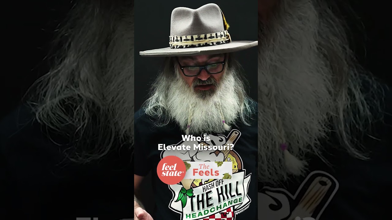 Who is Elevate Missouri? Clip from S4E9 of The Feels