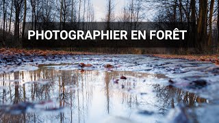 PHOTOGRAPHIE de PAYSAGE : sortie photo en forêt POV [ Canon R6 + RF 24-105mm F4-7.1 IS STM ]