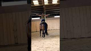 Danke für‘s Filmen Tamara🙌🏼😝#horse