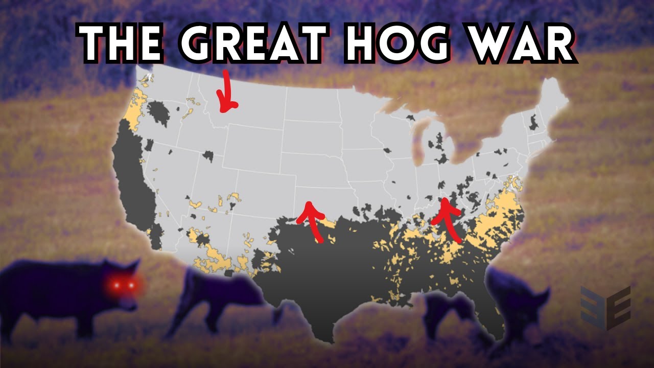 America vs. Super Pigs (And We're Losing)