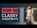 TOP 10 CHESTNUT RACEHORSES ft. Secretariat, Phar Lap, California Chrome & Stradivarius