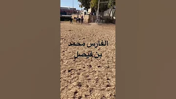 يامحمد ياطيب الفالي 