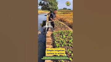 Simple irrigation system in action