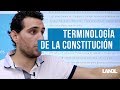 Términos Constitucionales para nuevos opositores