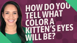 How do you tell what color a kitten's eyes will be?