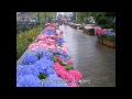 雨の舗道に (オリジナル)