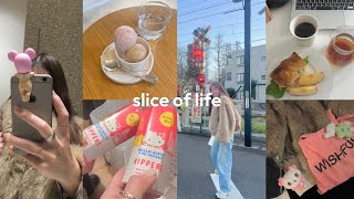 【DAILY VLOG】2026年も全力オタク宣言🫵社会人オタクの冬の日常🧣参戦服選びや可愛い物集め人生🍨
