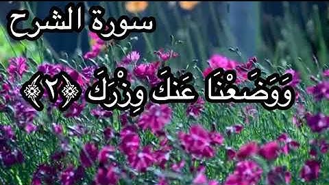 سورة الشرح مكتوبة بصوت وديع اليمني تريح القلب🌱💚