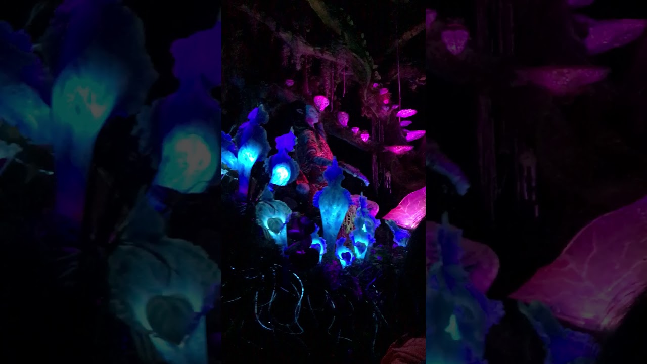 Shaman of Songs Na’vi river journey Pandora Walt Disney World YouTube