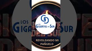 Nueva Producción 2026, Reboleando Mi Pañuelo