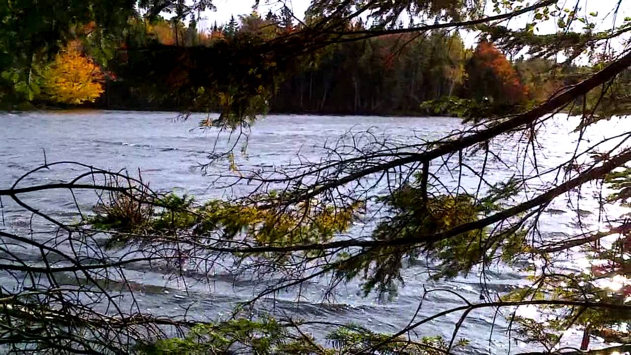 Little Narrows 17 ac land for sale YouTube