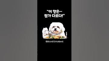 달아올랐다개! 마라맛에 강아지도 춤춘다개 🐶!! 주말야식은 역시 마라탕 #강아지먹방 #ai #asmr #마라탕 #마라탕먹방  #shorts