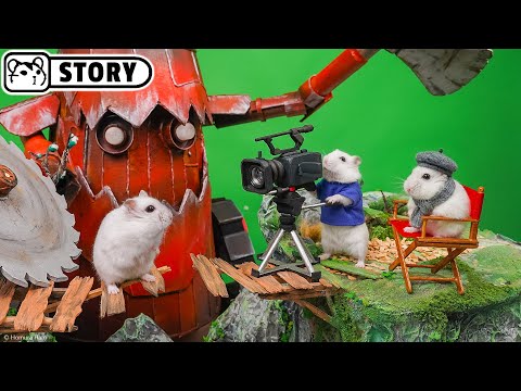 Behind the Hamster Cam – How Hamsters Filmed the Sawmill Maze Adventure - Shorts 🐹 Homura Ham