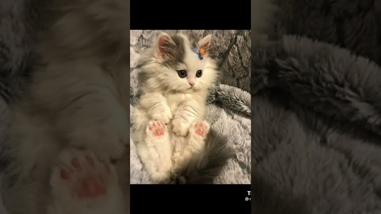 No edit!!😎 matsudake funny video🤣🤣🤣|M2DK Best TikTok JUNE 2022 