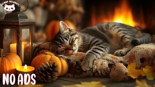 Relaxing Music for Cats 🐾🎵 Soft Sleep Melodies for Calm Minds, Better Rest & Sweet Dreams screenshot 4