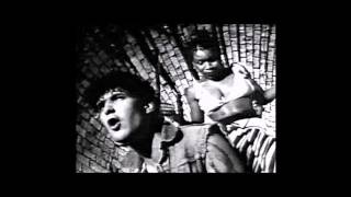 King Triger - Push & Slide Profile