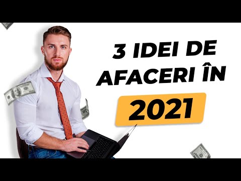 Cele mai bune IDEI DE AFACERI pentru tineri in 2021