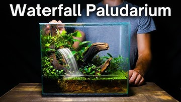I Made a Paludarium With a Waterfall, Here’s How!