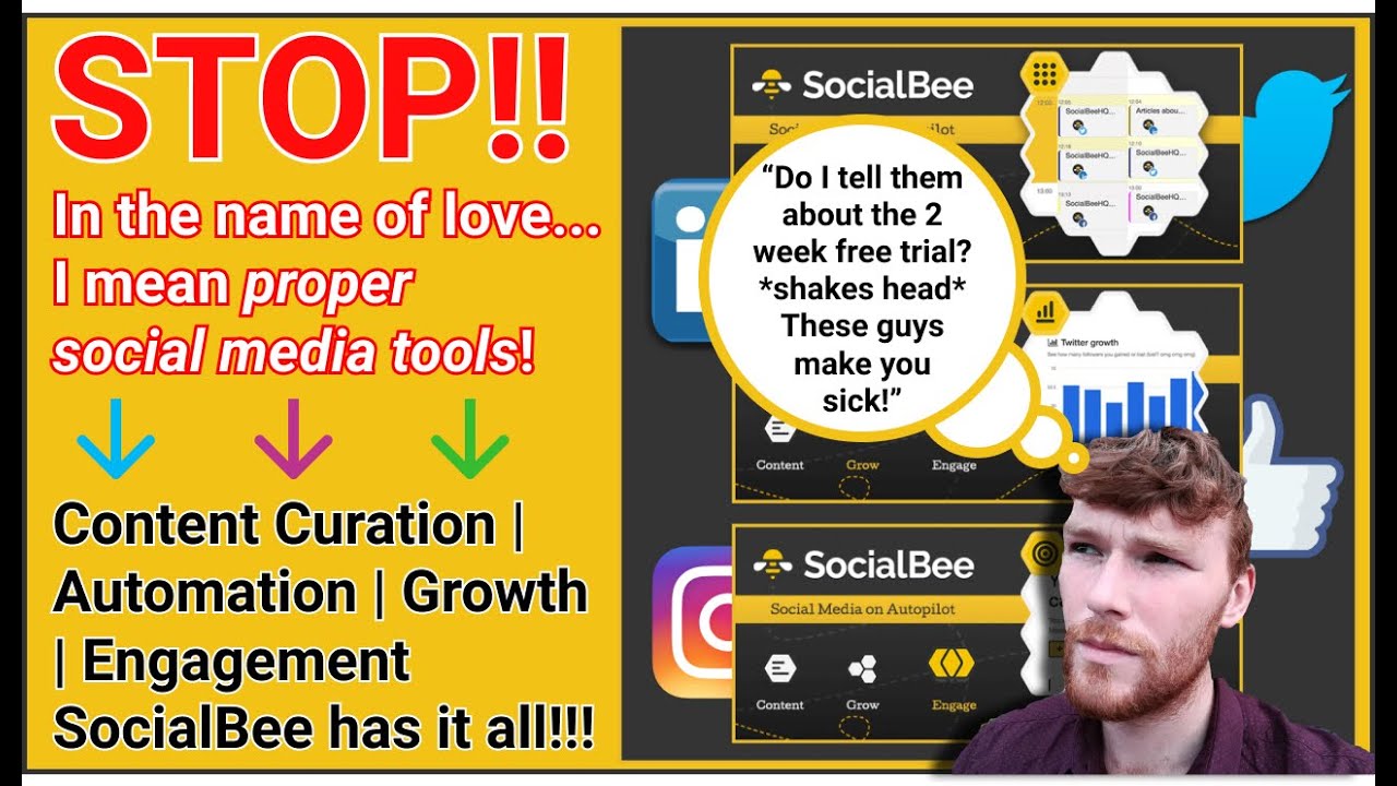 Meetedgar alternatives - SocialBee review: a great meetedgar alternative or not?