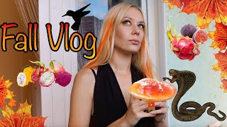 ОСЕНЬ, урожай, лес, напал УЖ?! Немного ASMR #vlog