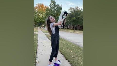 This video is sooo cute😍 #simate #simatehoverboard simate hoverboard