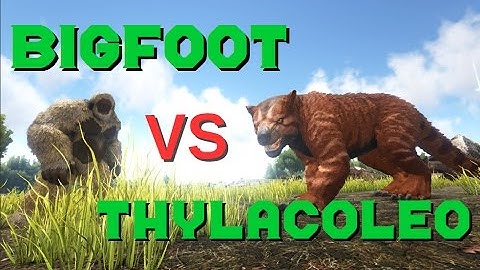 Gigantopithecus VS Thylacoleo || ARK: Survival Evolved