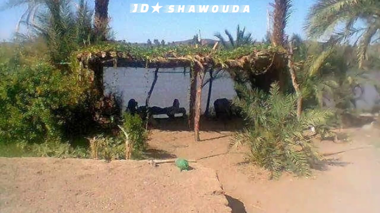 أغنية نوبية محسية … عباس عثمان