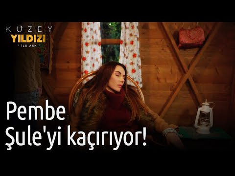 Kuzey Yıldızı İlk Aşk | Pembe Şule'yi Kaçırıyor!