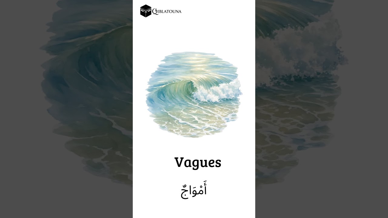 Apprenez 3 mots arabes rapidement : Mer, Vagues et Plage 🌊 #apprendrearabe #arabic #apprendrelarabe