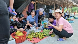 Harvest Papaya flowers & Tangerines, Goes to the market To sell | Trieu Thi Thuy