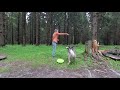 Обучение трюкам. Щенок хаски Хиппи, 10 месяцев - Training tricks of a husky puppy