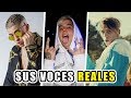 Video Musical