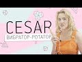 ВИБРАТОР-РОТАТОР СESAR 18+