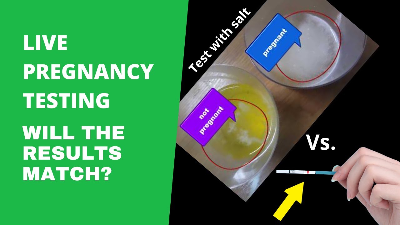 How Accurate Is pregnancy test with salt? Can you trust it? YouTube