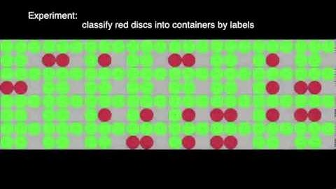 Effects of Display Size and Navigation Type on a Classification Task