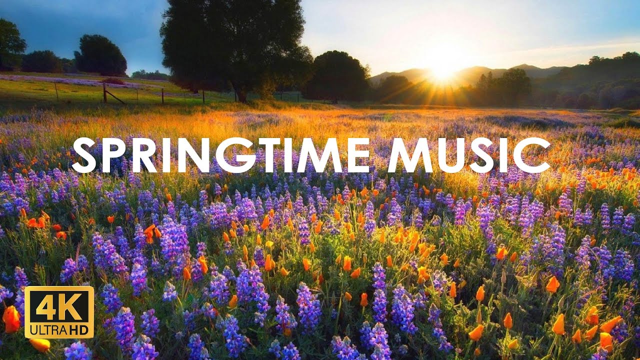 Regardez Morning Relaxing Music - Springtime Music, Study Music, Calming The Nervous System, Deep Relaxation sur YouTube Regardez Morning Relaxing Music - Springtime Music, Study Music, Calming The Nervous System, Deep Relaxation sur YouTube