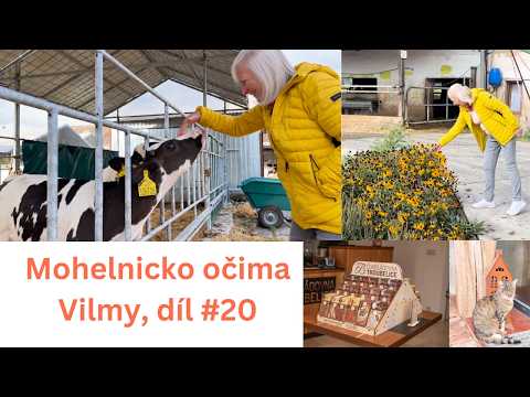 Výlet z Mohelnice - Doubravský dvůr a Čokoládovna Troubelice