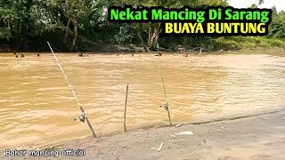 KERINGAT DINGIN!! Begini jadinya mancing di sarang buaya buntung