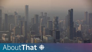Wildfire smoke and your health: what you should know | About That