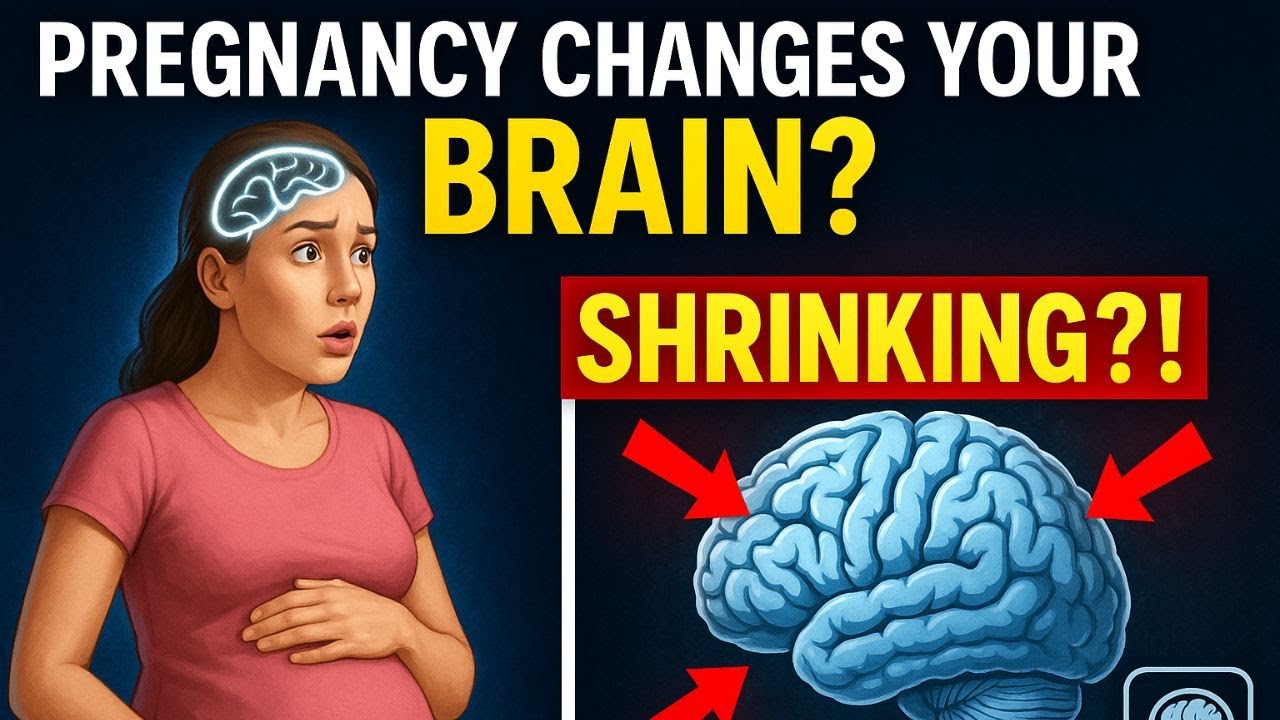 What Happens to a Woman’s Brain During Pregnancy Will Shock You ...