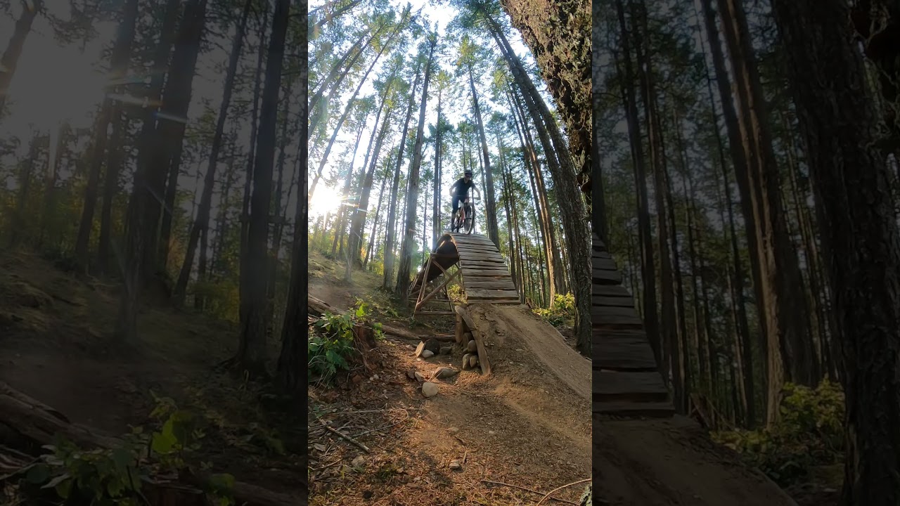 Wood roll at Mount Tzouhalem