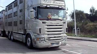 scania R620 italien transport Filli Cancro