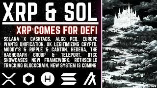 XRP Expands to Solana DeFi | $SOL Powers X Cash Tags | Rothschilds, DTCC, UK & Hedera