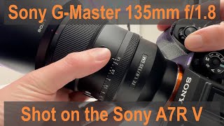 Sony A7R V + Sony GM 135mm f/1.8  |  Dream Team