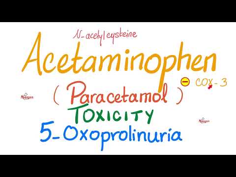 02. Acetaminophen (Paracetamol) Toxicity | Toxicology Course