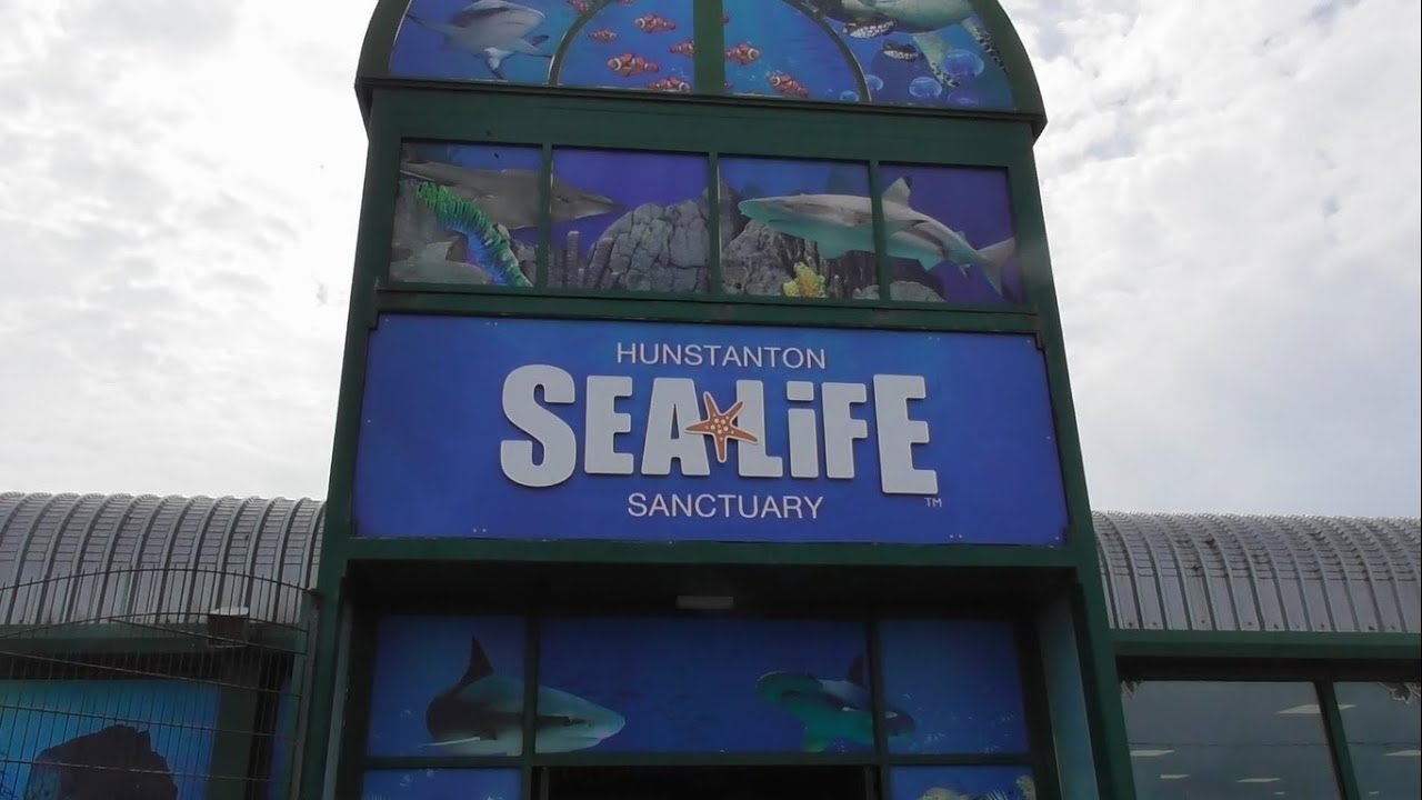 Sealife Hunstanton, June 2019