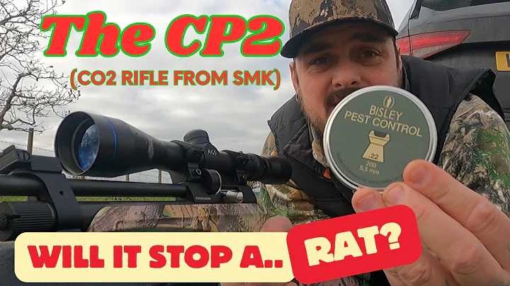 SMK CP2 test! | can a Co2 powered rifle stop a rat? | Final pellet decision