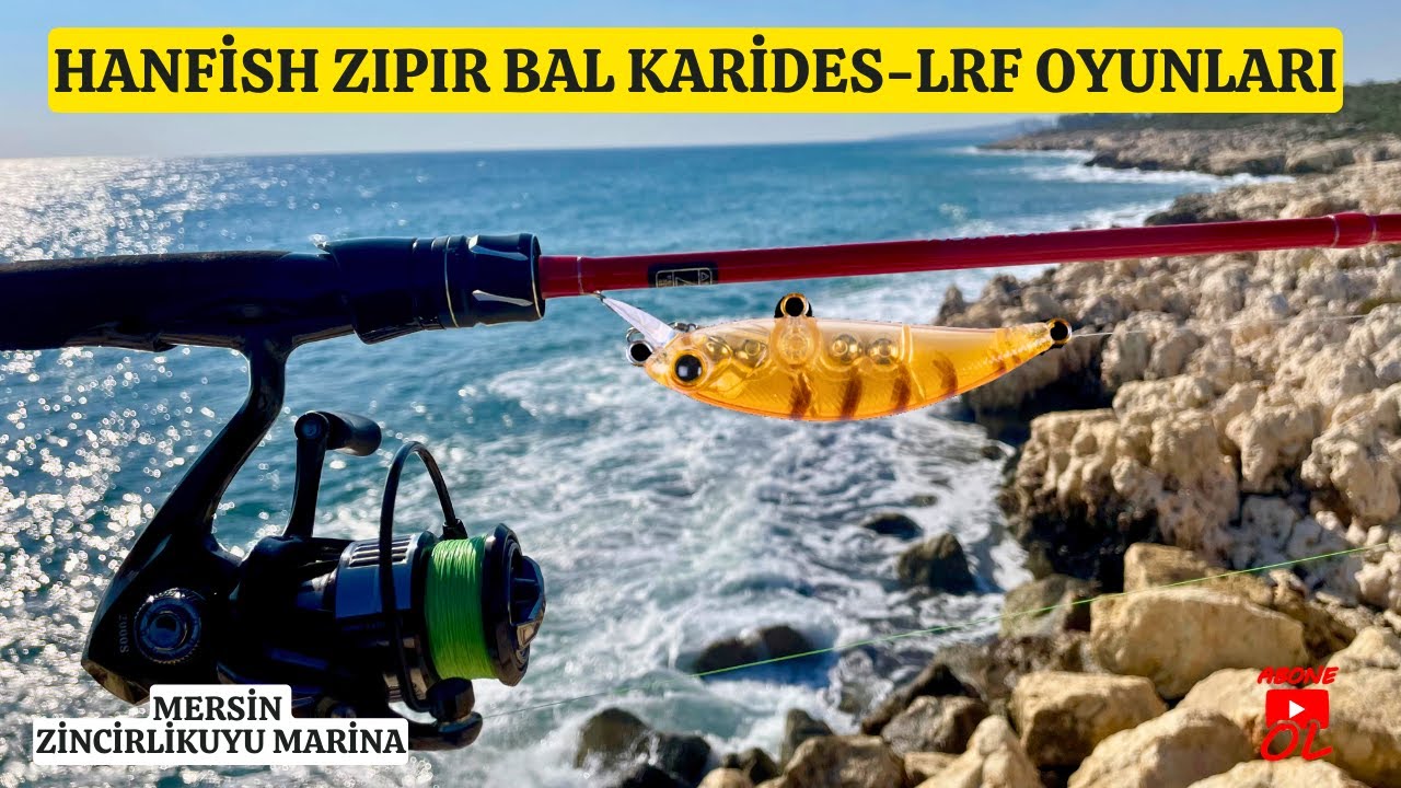 LRF Hanfish Zıpır Bal Karides | Ryuji Kamış + Makine LRF Takımı 