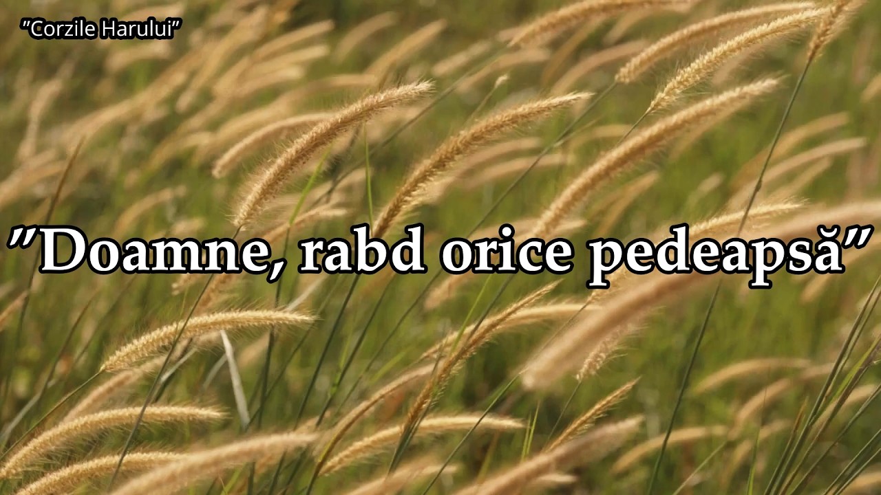 ”Doamne, rabd orice pedeapsă” cântare creștină 2026