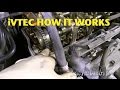 iVTEC How it Works -EricTheCarGuy